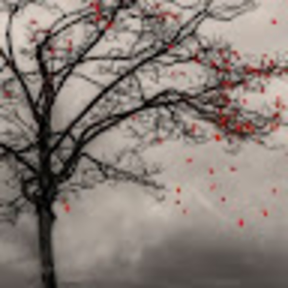 Meet your Posher, Renee